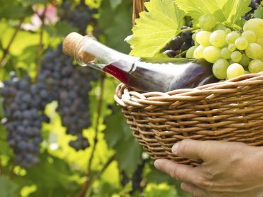 In Vino Veritas, Part XXIV: Organic Wines